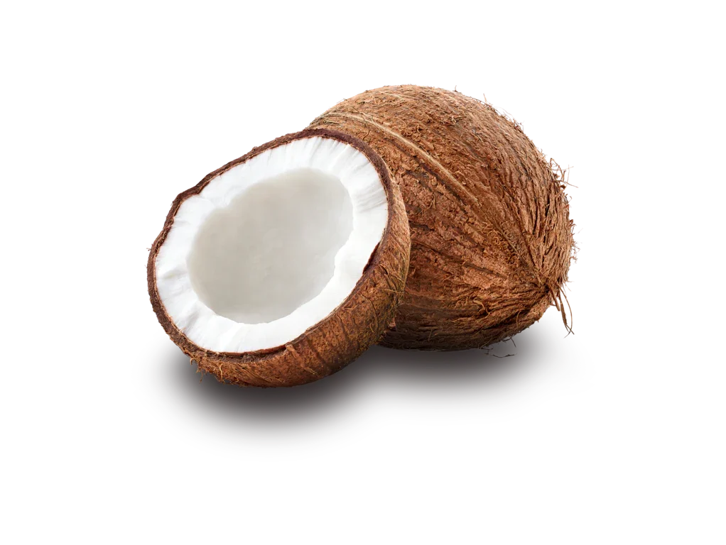Copra Coconut Exporter in India | Desiccated Coconut Supplier | Amutham Coconuts